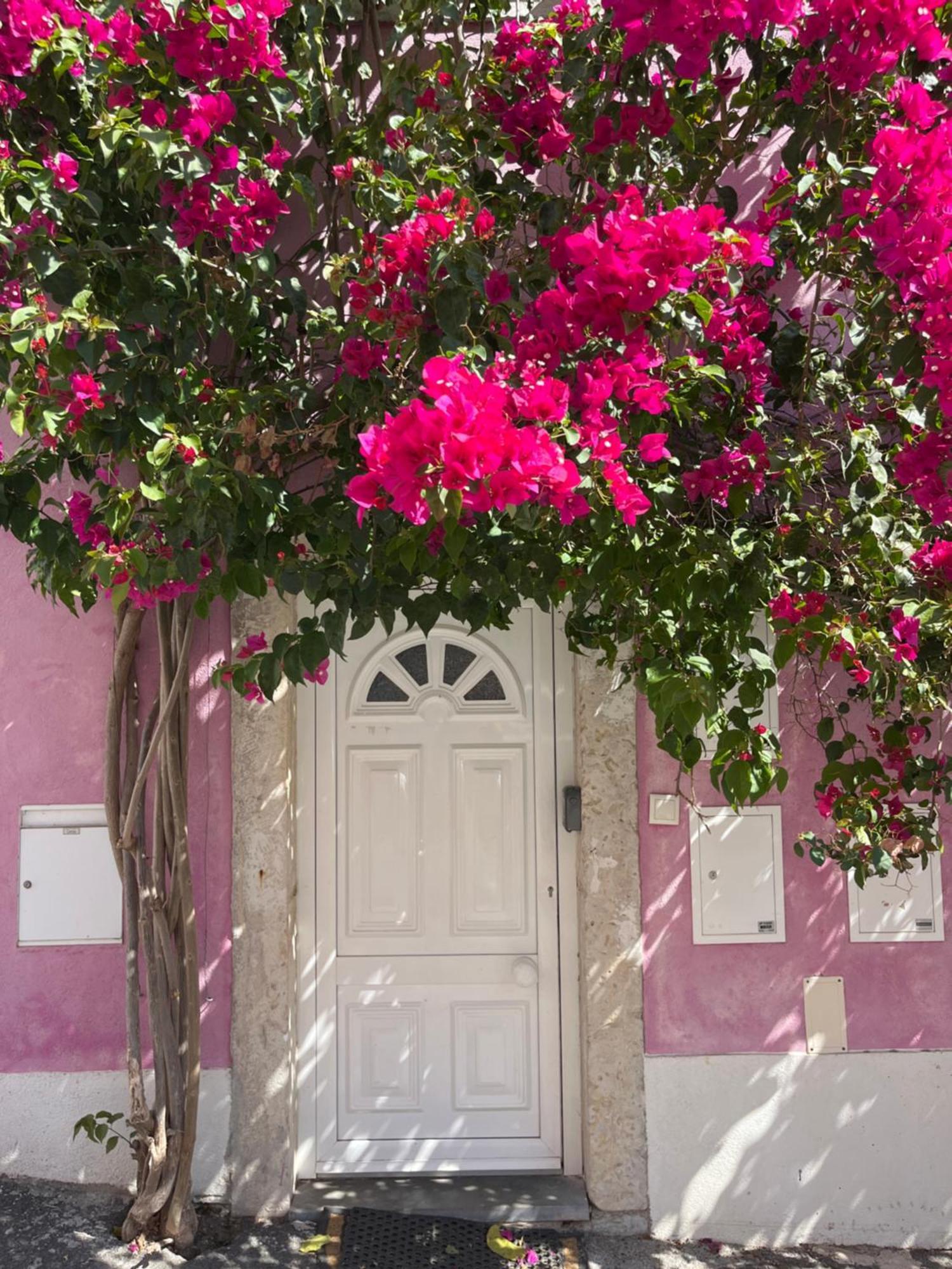 리스본 Casa Cor De Rosa 아파트 외부 사진