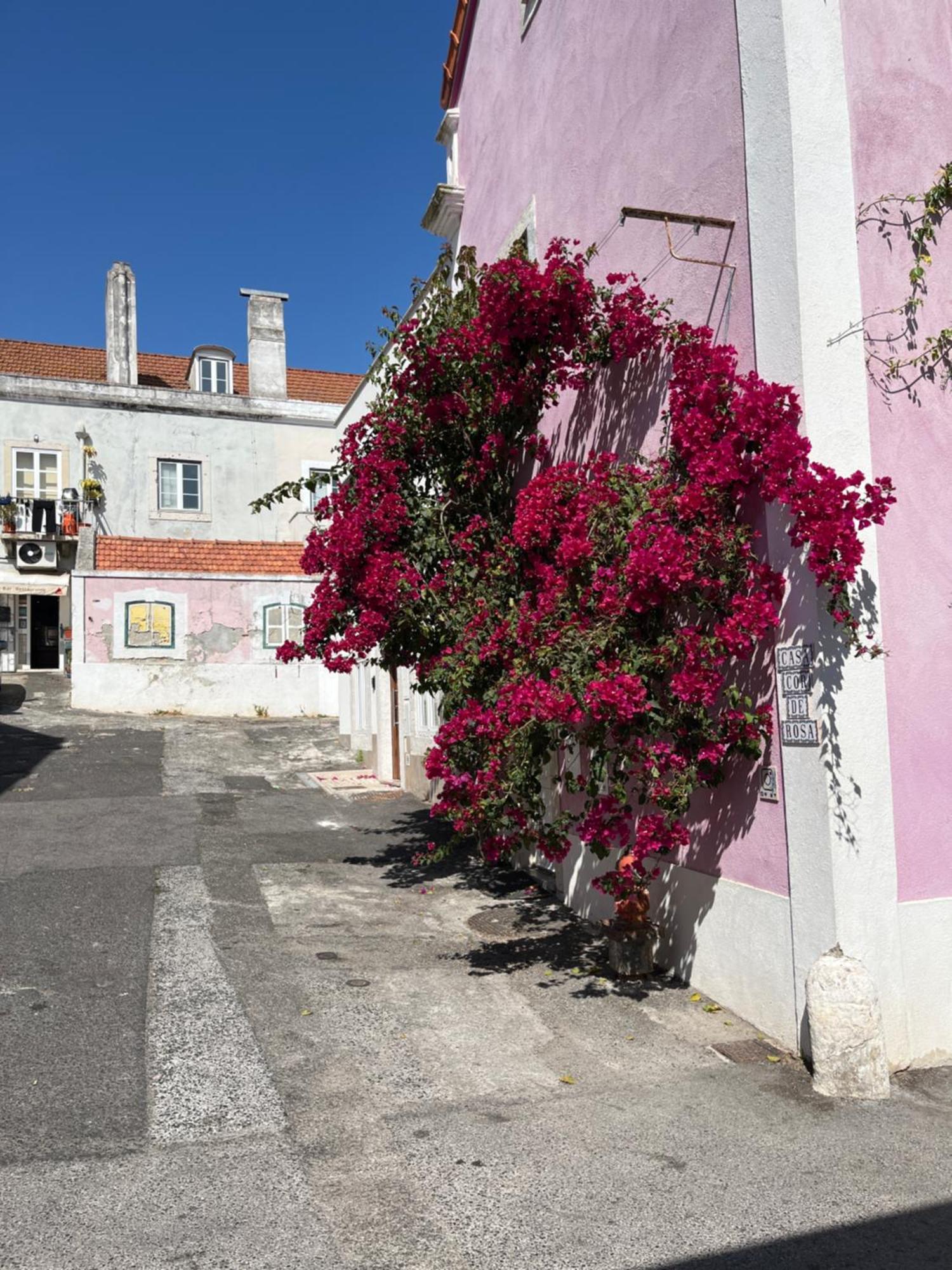 리스본 Casa Cor De Rosa 아파트 외부 사진